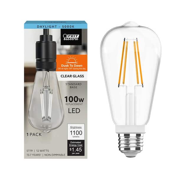 Feit Electric 100-Watt Equivalent ST19 Straight Filament Dusk to