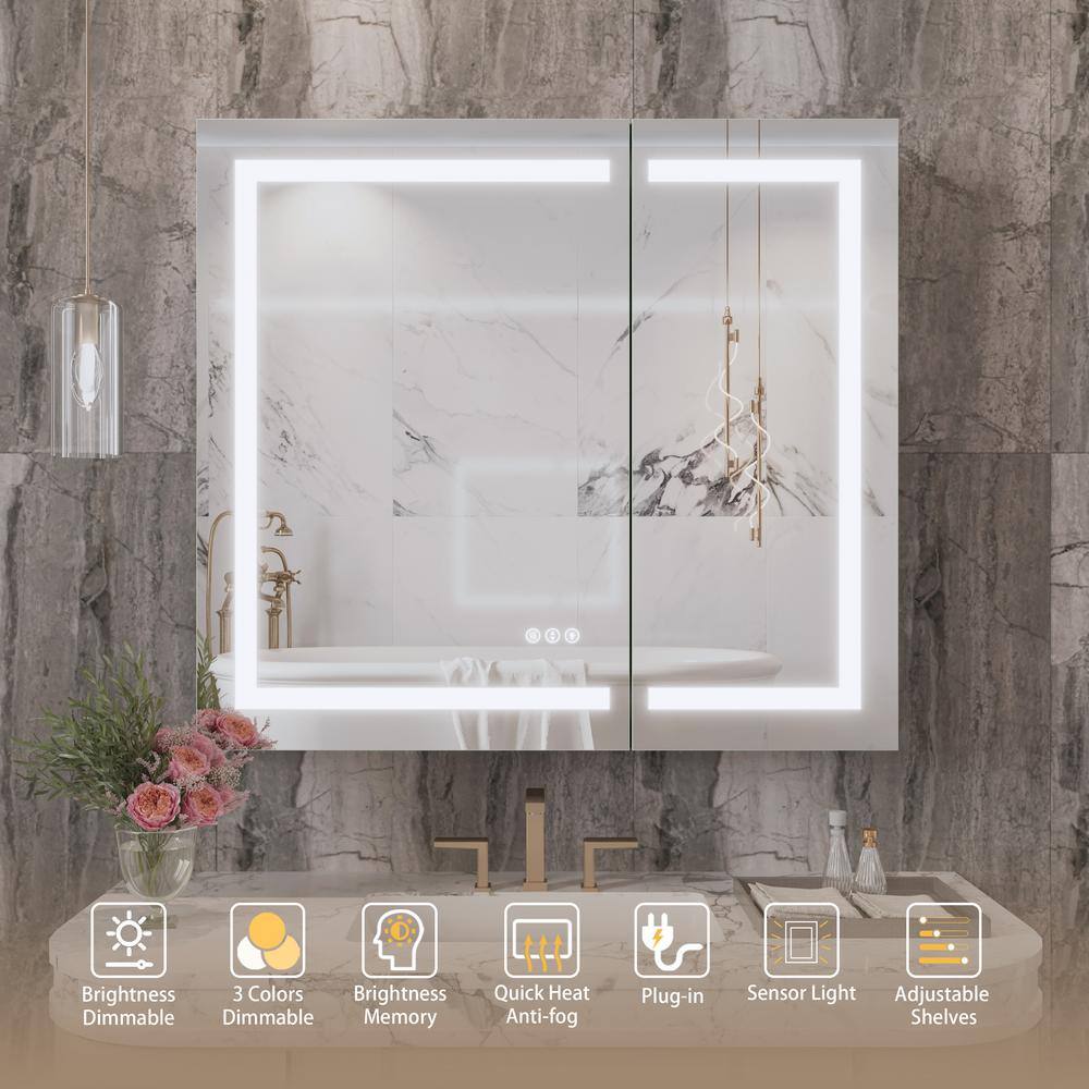Matte Black Aluminum LED Lighted Medicine Cabinet with Mirror