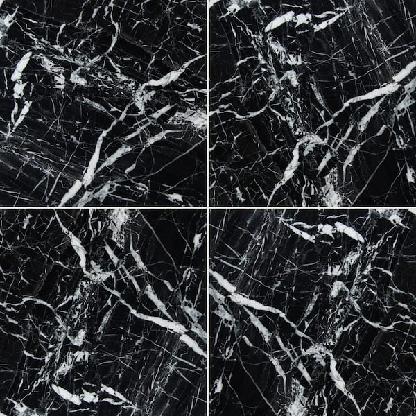 MSI Black Ice 12 in. x 12 in. Polished Marble Floor and Wall Tile (5 sq. ft./Case)