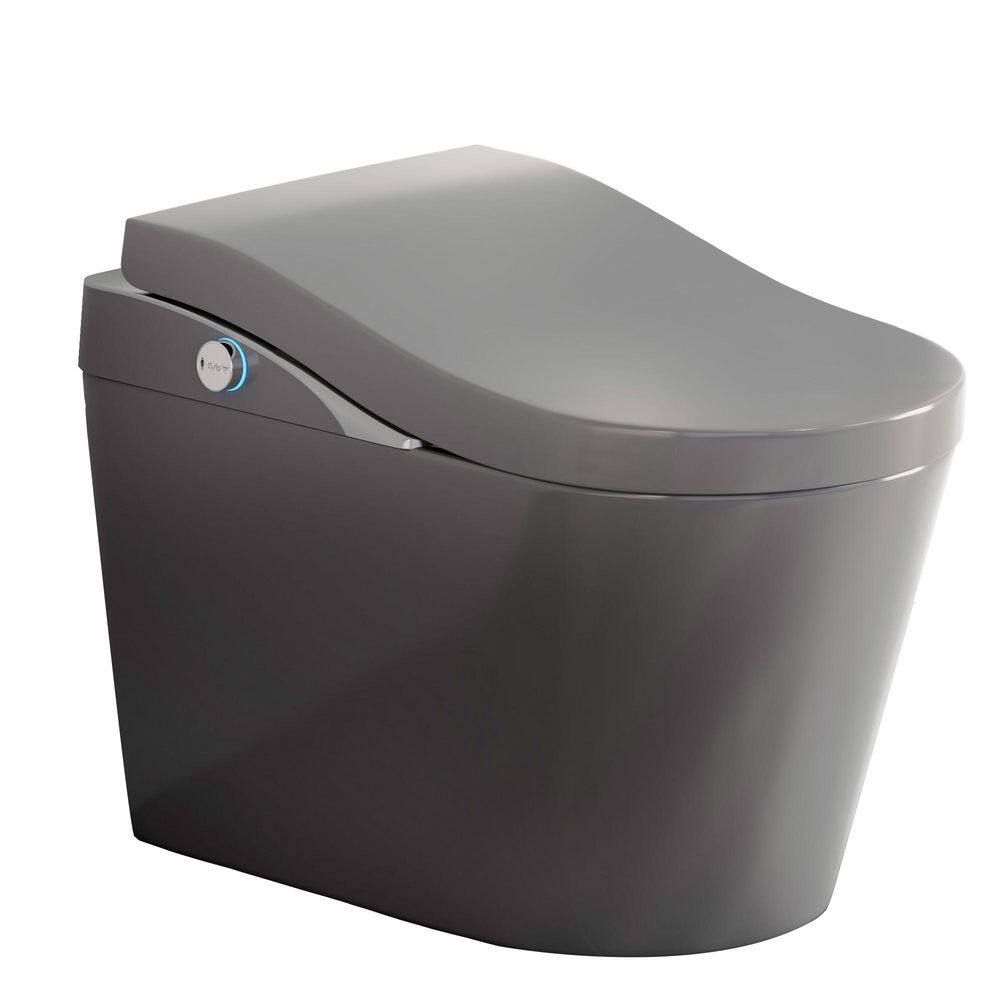 BW Contemporary Elongated Bidet Toilet 1.28 GPF in Matte Grey with Auto Flush, Auto Open/Close, Heated Seat price history on PriceWatchPro