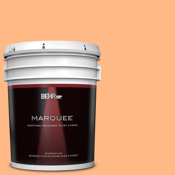 BEHR MARQUEE 5 gal. #250B-4 Coral Gold Flat Exterior Paint & Primer