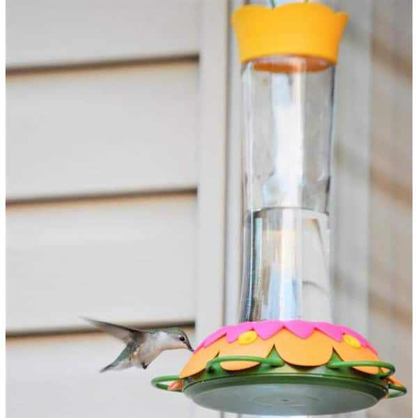 wild wings clear glass nectar hummingbird feeder