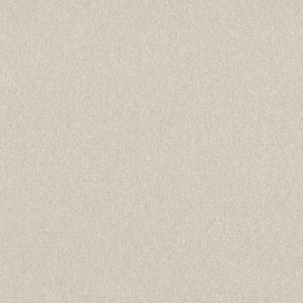 Home Decorators Collection House Party I - Purity - Beige 15 ft. 37.4 oz. Polyester Texture Installed Carpet