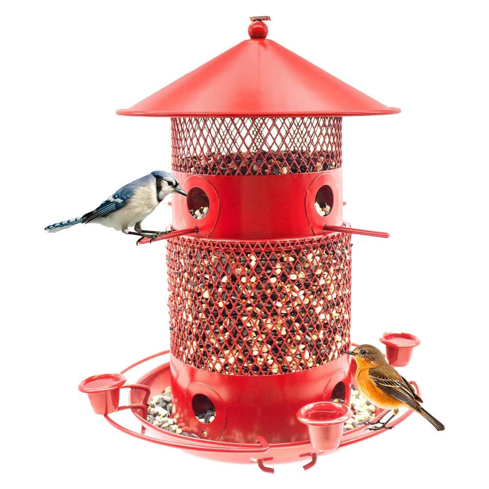Exquisite Red Iron Squirrel Guard Hanging Multiple Bird Species Seed Feeder - 6 Pounds 1-Pack price history on PriceWatchPro
