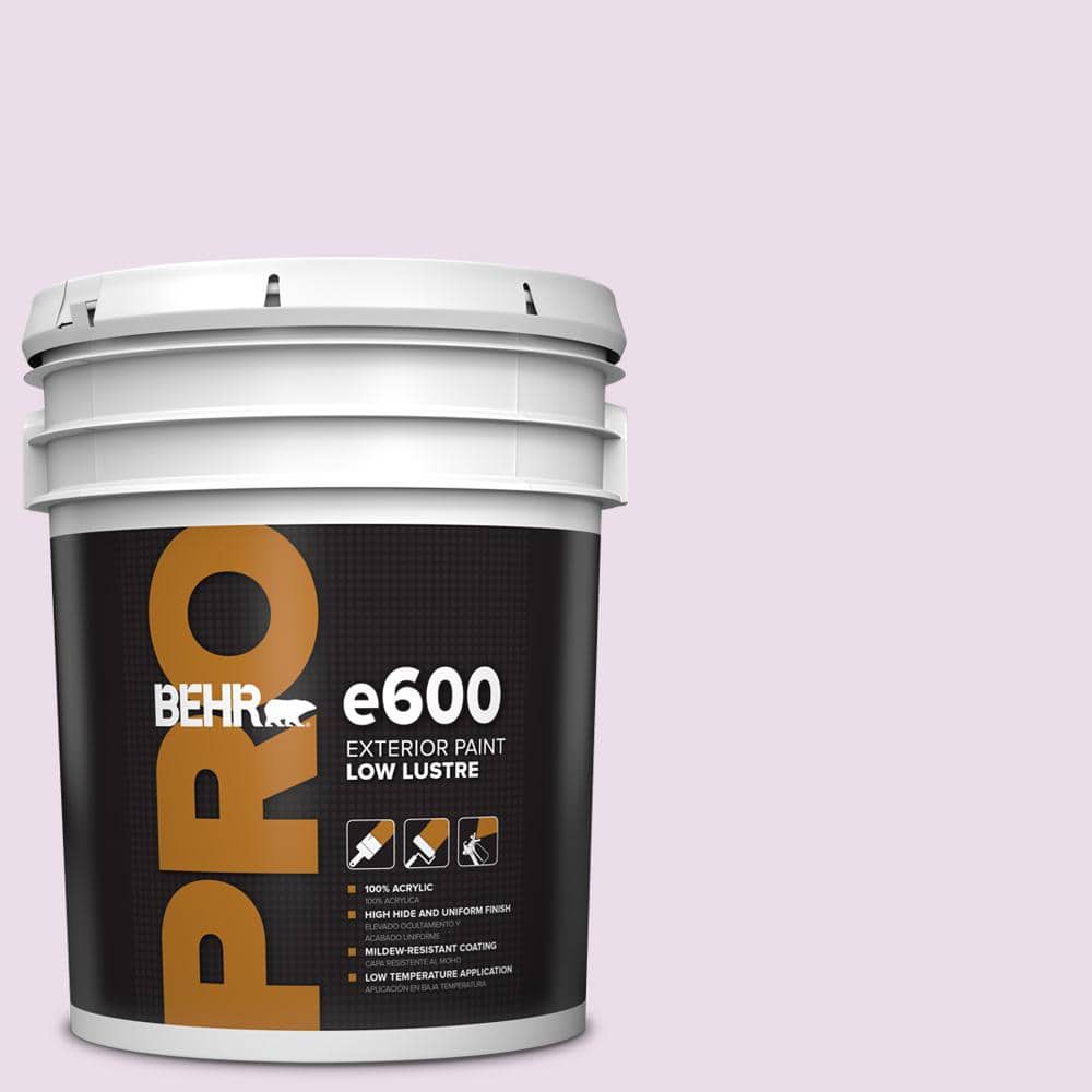 5 gal. #650A-2 Ice Ballet Low Luster Exterior Paint price history on PriceWatchPro