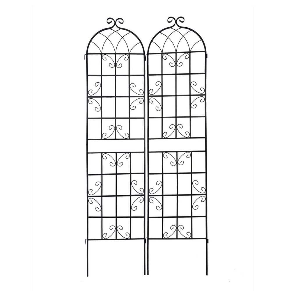 2-Pack 86.7 in. x 19.7 in. Black Metal Garden Trellis for Climbing Plants