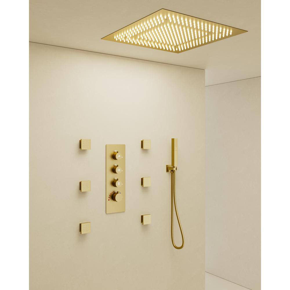 Brushed Nickel LED Rain Shower System with Handheld Spray and Massage Jets