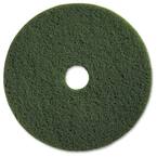 17 in. Green Scrubbing Floor Pad (5 per Carton)
