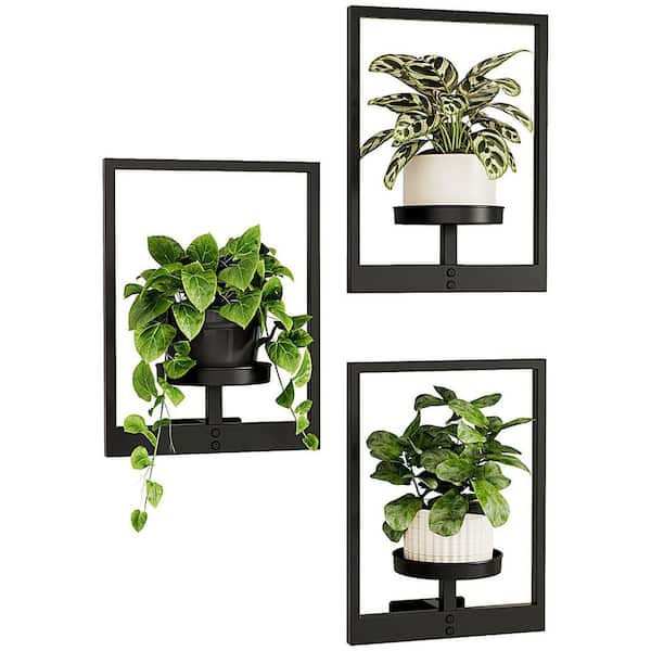 3-Pack Wall Hanging Plant Shelves-Metal Indoor/Outdoor Window Planter-Modern Wall Decor for Indoor Outdoor
