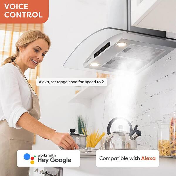 30 in. 450 CFM Convertible Smart Wall Mount Range Hood in Stainless Steel  with Voice and Touch Controls