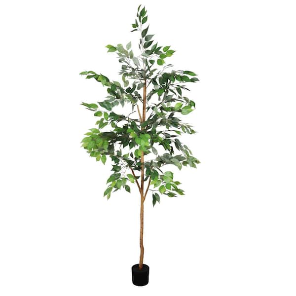 Miriam Indoor 6 ft. Artificial Ficus Tree with Natural Trunk in Black Plastic Pot