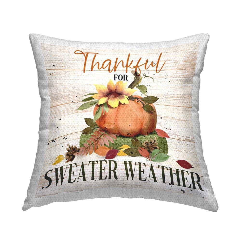 Thankful Sweater Weather Off-White Square Outdoor Throw Pillow price history on PriceWatchPro