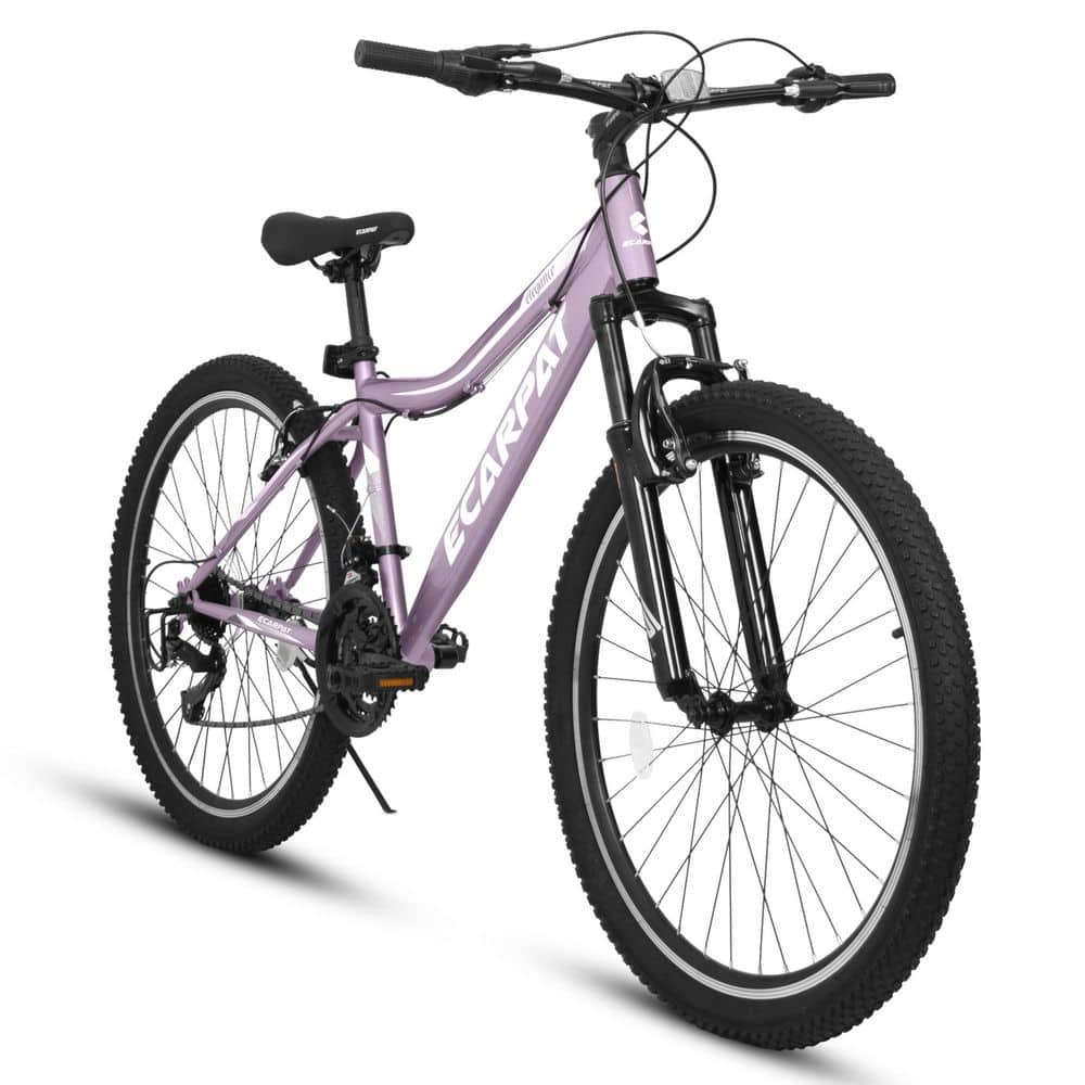 Purple 26 in. Mountain Bike, Carbon Steel Frame Mountain Bike