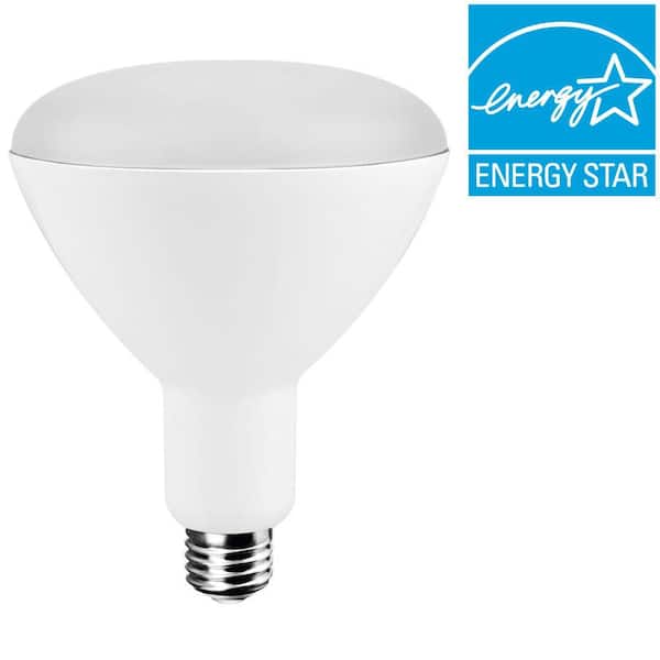 EcoSmart 75W Equivalent Soft White (2,700K) BR40 Dimmable LED Light Bulb