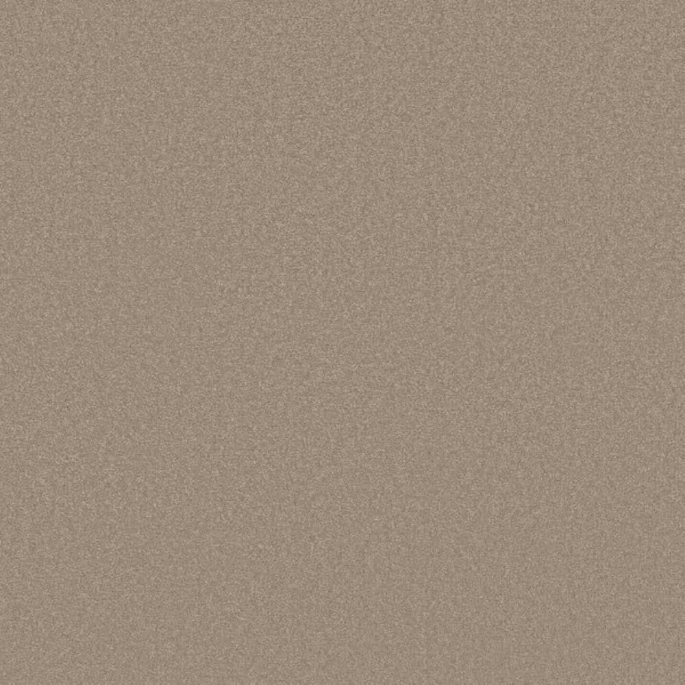 8 in. x 8 in. Texture Carpet Sample-Park Royal II-Color Fawnwood price history on PriceWatchPro