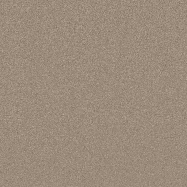 8 in. x 8 in. Texture Carpet Sample-Park Royal II-Color Fawnwood