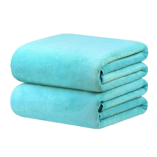 Aqua 35 in. x 70 in. Microfiber Bath Sheet (Set of 2)