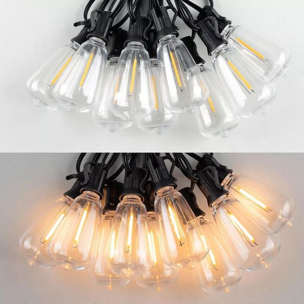 25-Light 50 ft. Indoor/Outdoor Plug-In Integrated LED 2700K Fairy String-Light with E12, ST38 LED Bulbs for Patio Garden