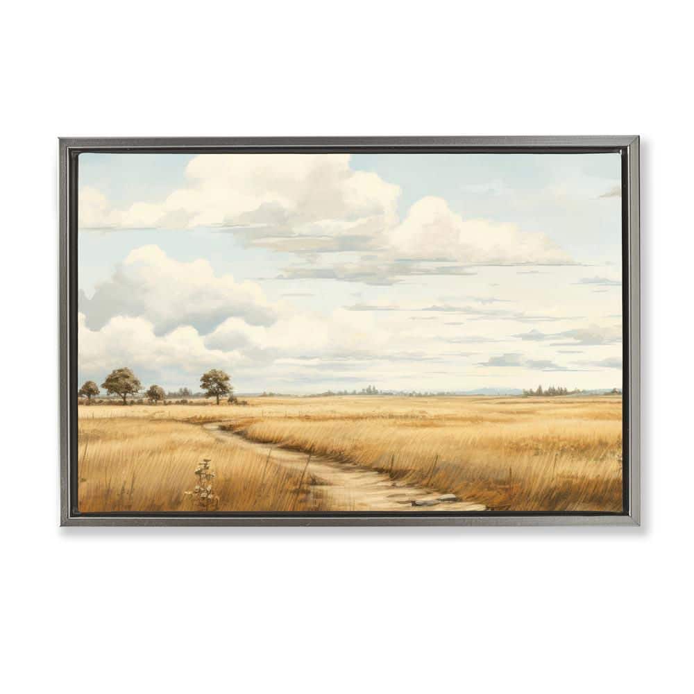 Path Through Vast Grassland by LSR Creative Studio Gray Floater Frame Nature Graphic Art Print 17 in. x 25 in. price history on PriceWatchPro
