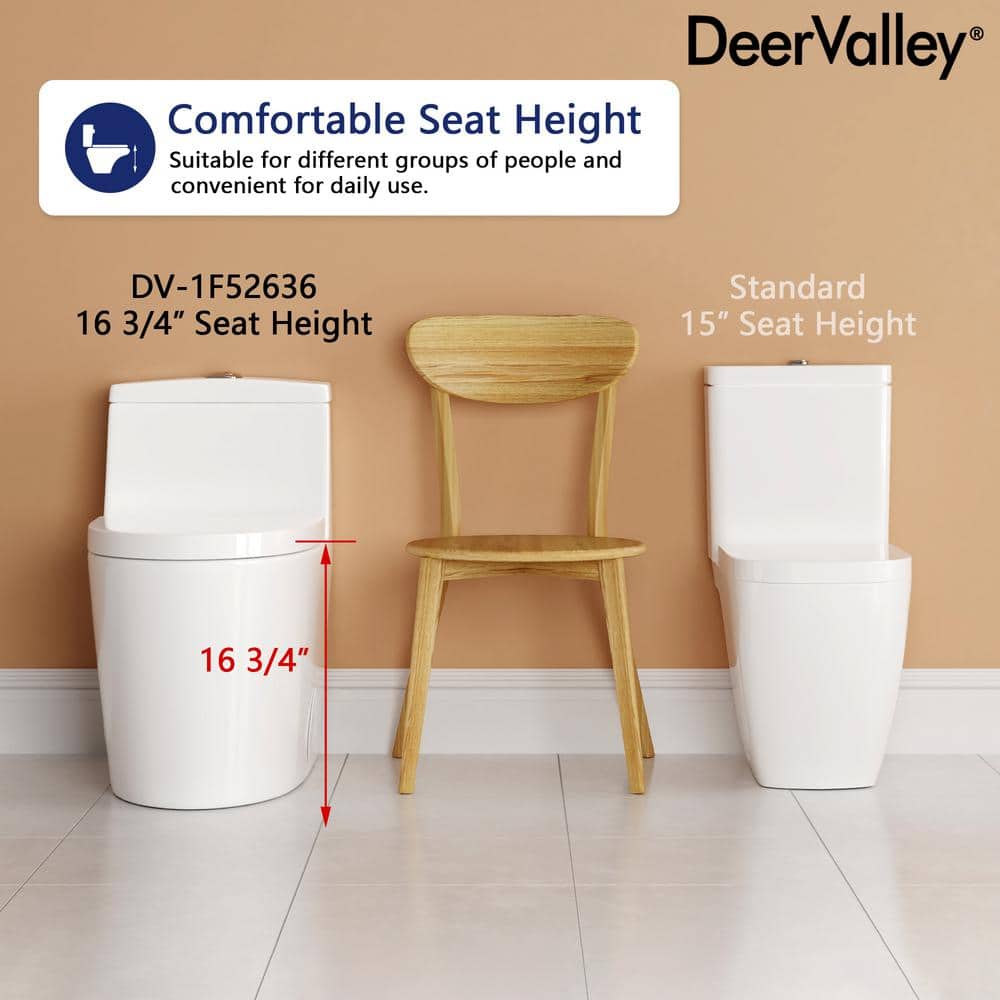 White Elongated Dual-Flush One-Piece Toilet with Silver Button