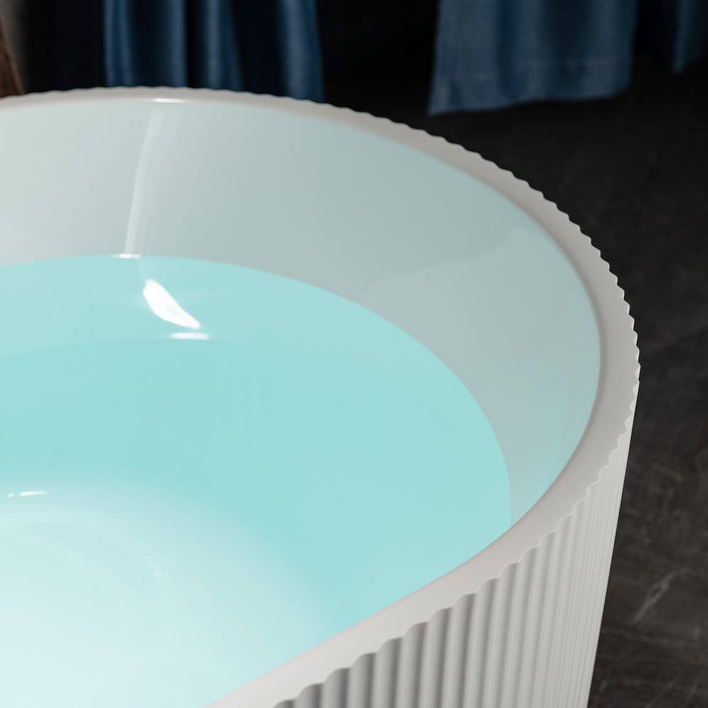 Pavanjit 67" White Acrylic Freestanding Soaking Bathtub