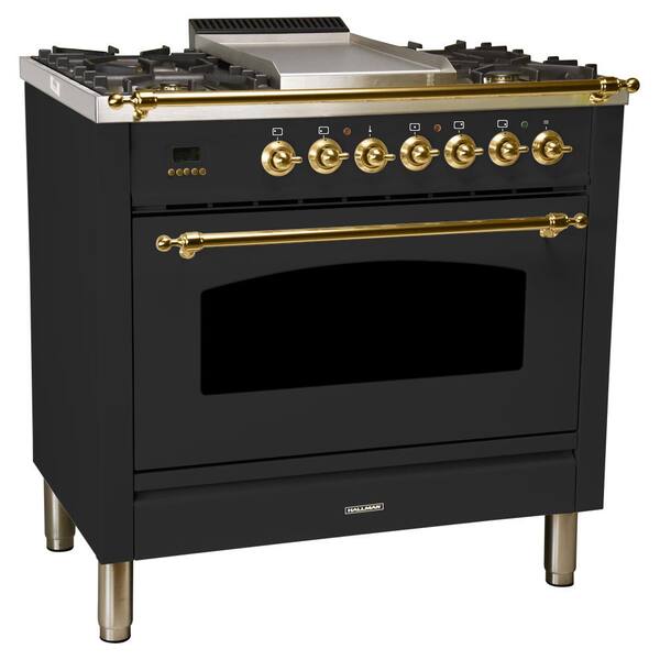 graphite dual fuel cooker