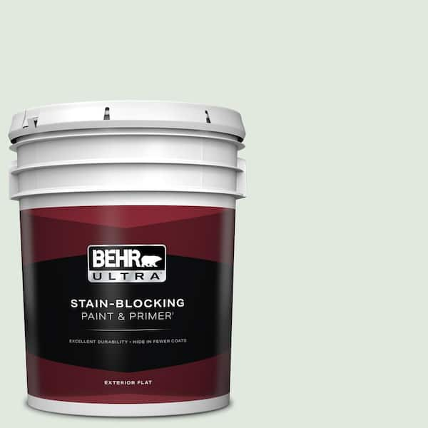 BEHR ULTRA 5 gal. #450E-1 Shimmer Flat Exterior Paint & Primer