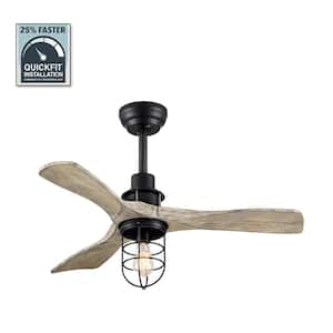 36 in. Indoor Matte Black Downrod 6-Speeds Farmhouse Caged Ceiling Fan with Light Kit and Remote Control DC Motor