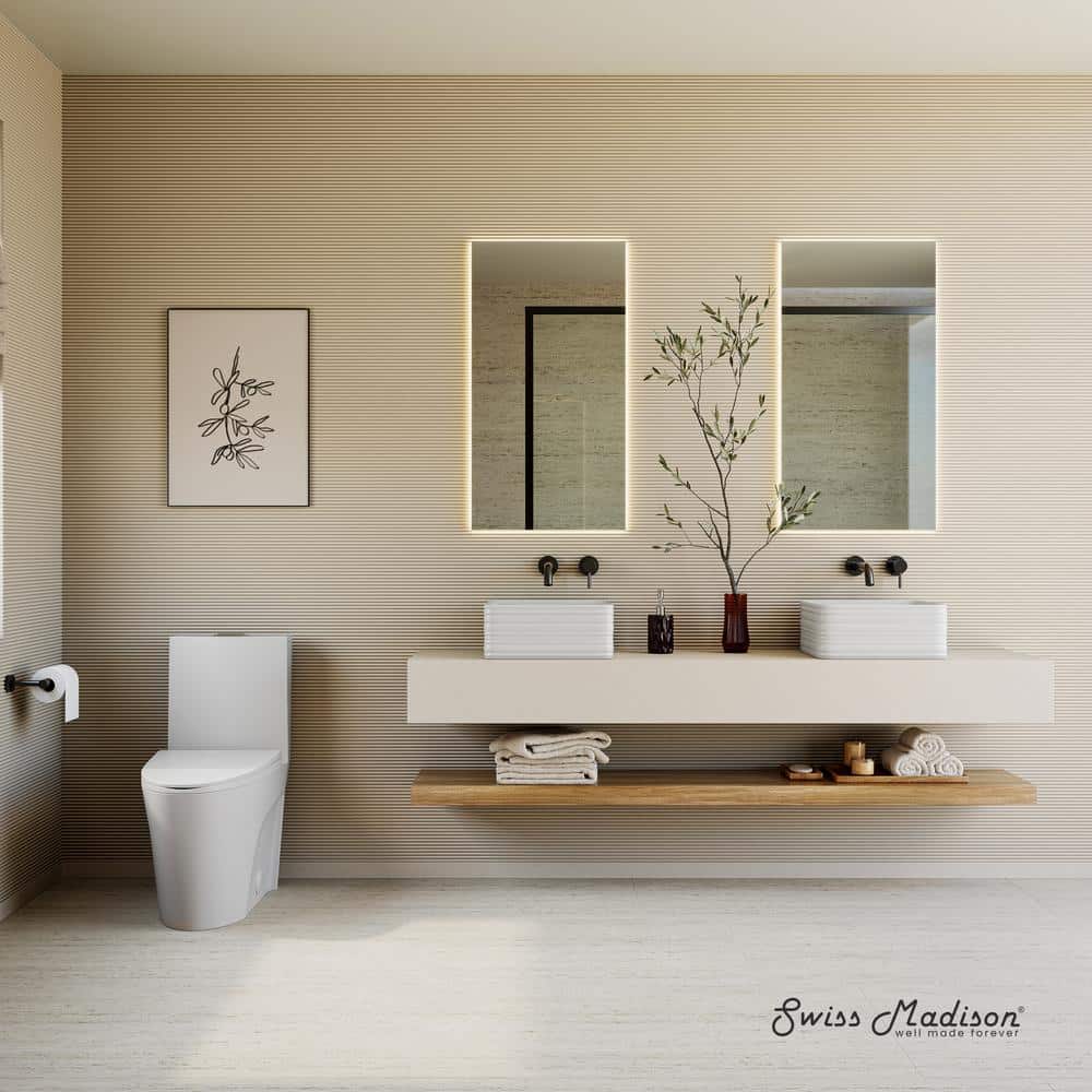 Matte White One-Piece Elongated Dual-Flush Toilet
