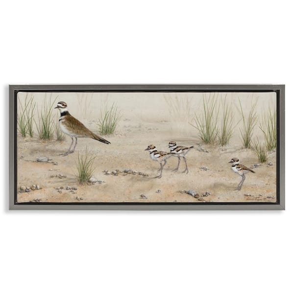 Stupell Industries Kildeer Birds Stepping by Valerie Rogers Gray Floater Frame Nature Graphic Art Print 14 in. x 31 in.