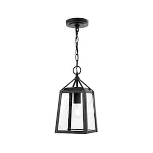 Blakeley Transitional 1-Light Black Outdoor Hanging Pendant with Beveled Glass