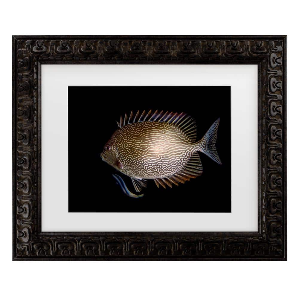Ilan Ben Tov Cleaning Station Matted Framed Photography Wall Art 14.5 in. x 17.5 in. price history on PriceWatchPro