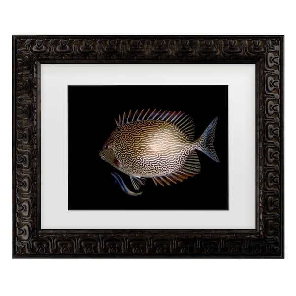 Trademark Fine Art Ilan Ben Tov Cleaning Station Matted Framed Photography Wall Art 19.5 in. x 23.5 in.