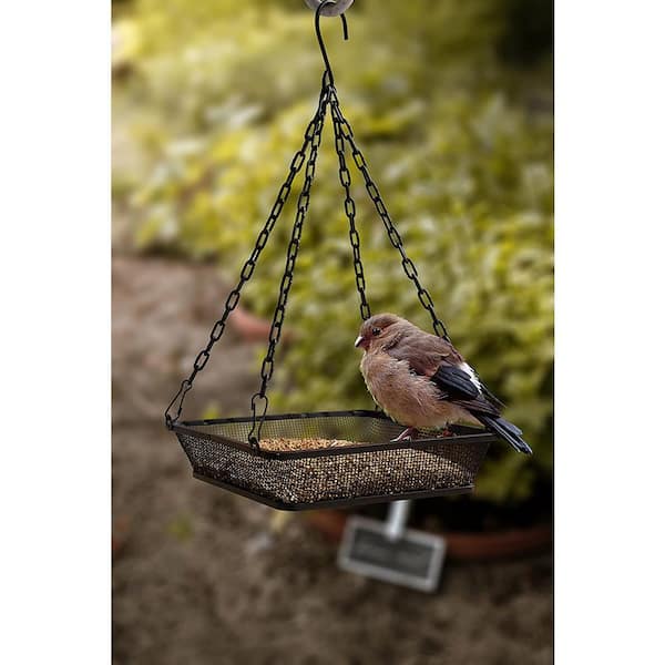 https://images.thdstatic.com/productImages/5728033d-3982-41e1-a2b7-396fae9fd5bc/svn/black-monarch-abode-bird-feeders-20148-1f_600.jpg
