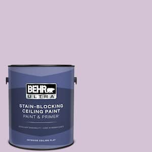 1 gal. #M100-2 Seedless Grape Ceiling Flat Interior Paint and Primer