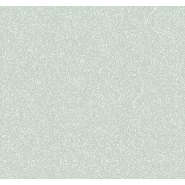 RIFLE PAPER CO. 60.75 sq. ft. Champagne Dots Wallpaper