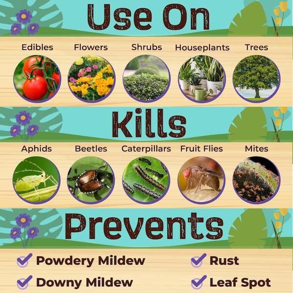 Captain Jack's Neem Oil, 32 oz Ready-to-Use Spray, Multi-Purpose Fungicide, Insecticide and Miticide