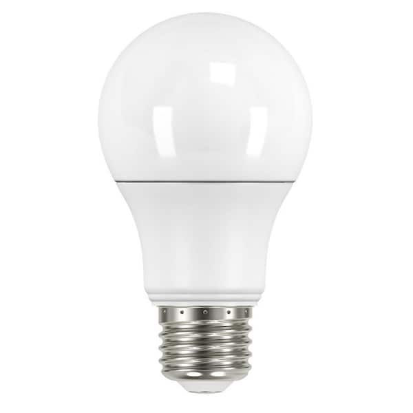 EcoSmart 60-Watt Equivalent A19 Dimmable LED Light Bulb Soft White (8-Pack)