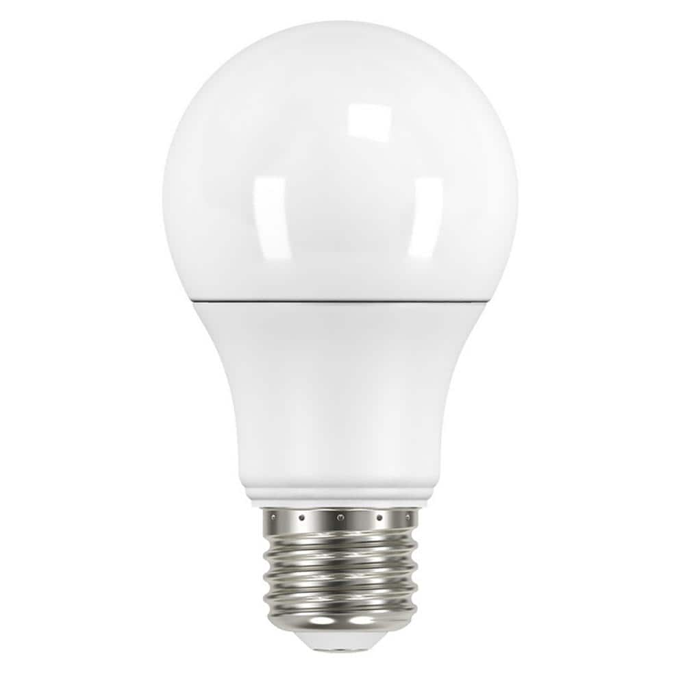 40-Watt Equivalent A19 Non-Dimmable LED Light Bulb Soft White (8-Pack)  11A19040WULND01 - The Home Depot