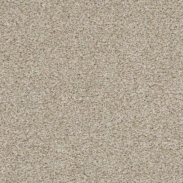 Trestle II-Horizon Beige-60 oz. SD Polyester Texture Installed Carpet