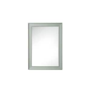 Bristol 29 in. W x 40 in. H Small Rectangular Framed Wall Mount Bathroom Vanity Mirror in Sage Green