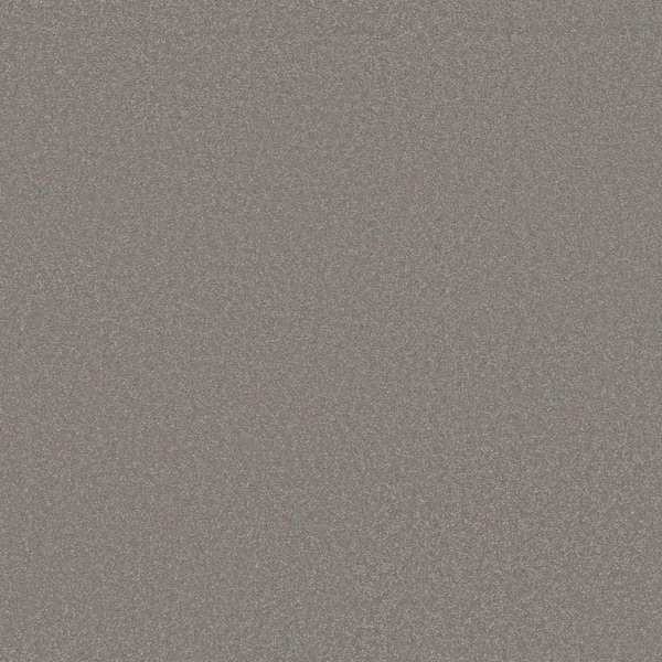 Park Royal II Pebble Path Beige 52 oz. Nylon Texture Carpet - Installation Required