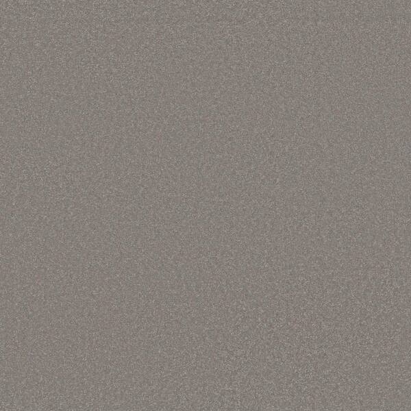 Park Royal I Pebble Path Beige 42 oz. Nylon Texture Carpet - Installation Required