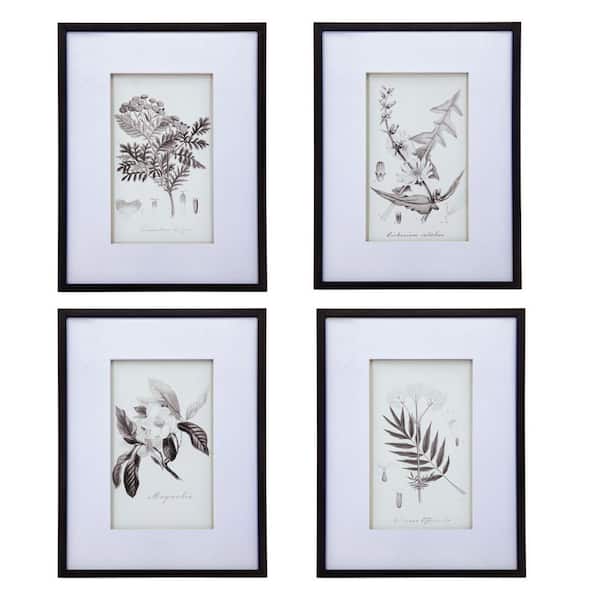 Miscool Anky Framed Art Print 27.6 in. x 19.7 in. Set of 4 Botanical Wall Art Prints