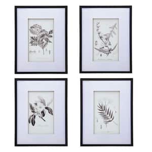 Anky Framed Art Print 27.6 in. x 19.7 in. Set of 4 Botanical Wall Art Prints