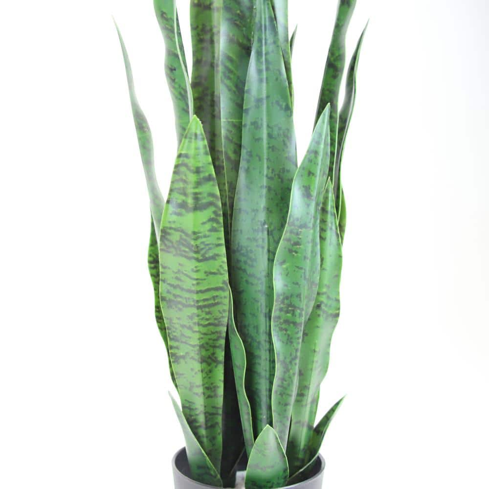 25" Green Silk Snake Plant in Black Pot