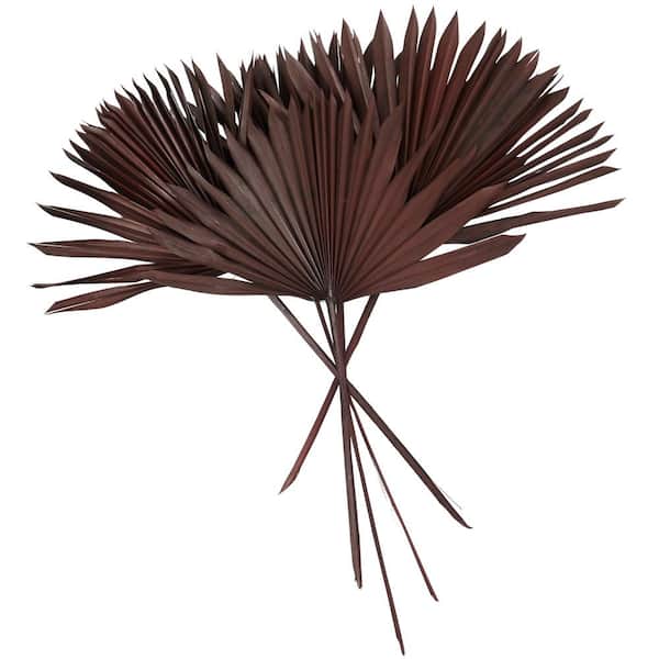 26 in. Large Sun Palm Spear Palm Leaf Natural Foliage (1 Bundle)