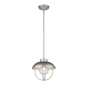 Ansel 1-Light Specialty Finishes Galvanized Outdoor Pendant with Galvanized and Glass Shade