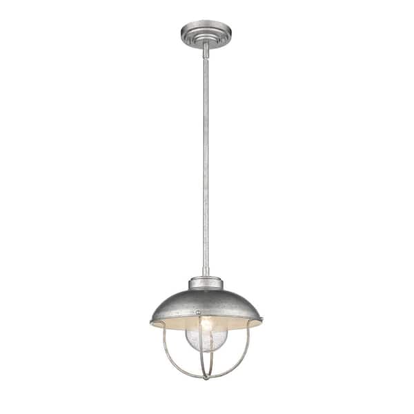 Unbranded Ansel 1-Light Specialty Finishes Galvanized Outdoor Pendant with Galvanized and Glass Shade