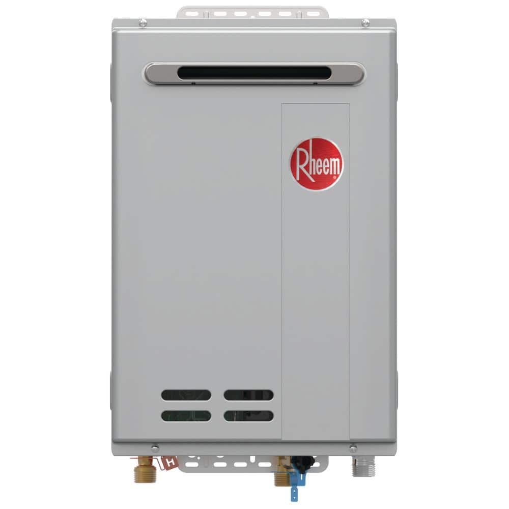 Rheem Flush Kit for Tankless Water Heaters RTG20124 - The Home Depot